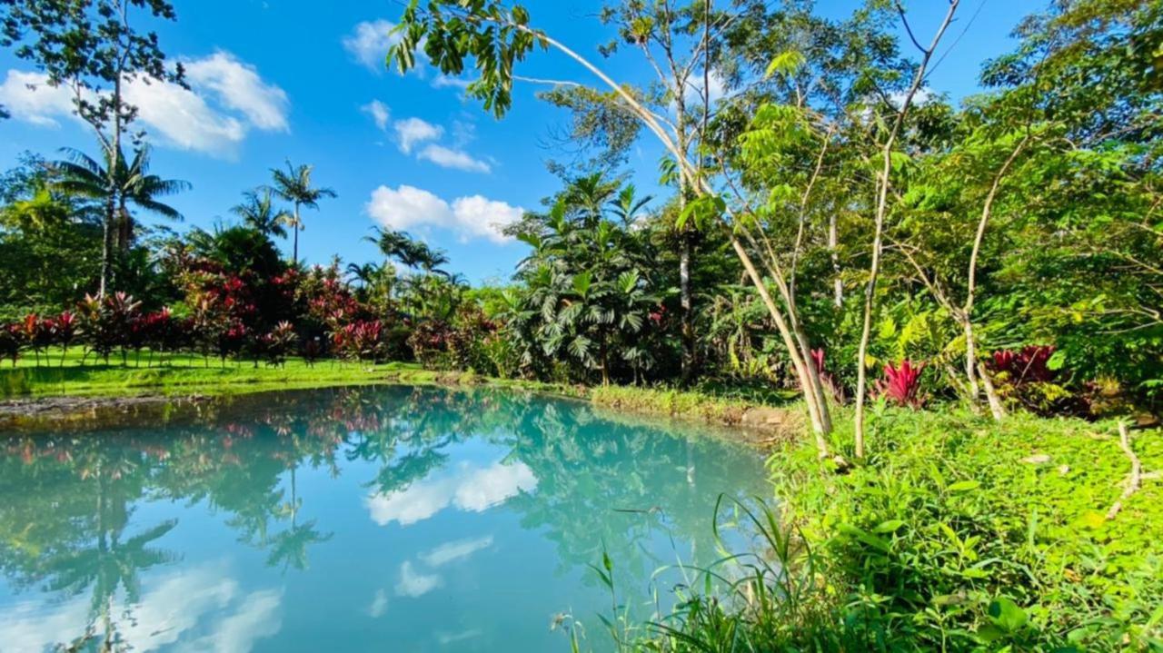 Blue River Resort & Hot Springs Liberia Bagian luar foto