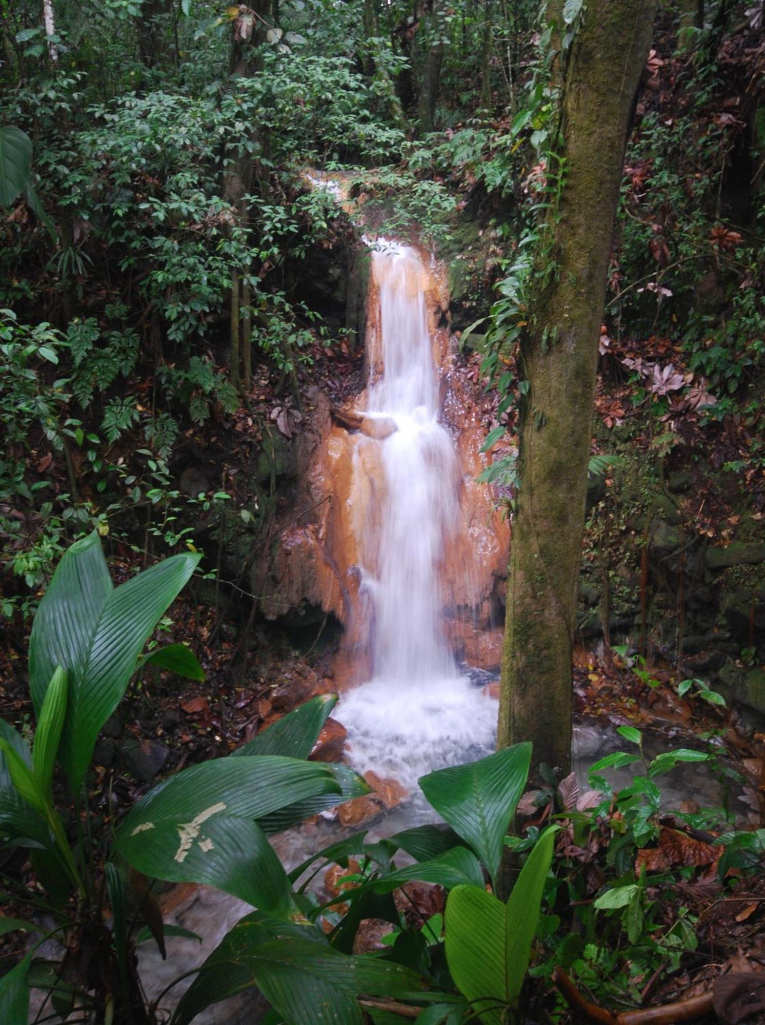 Blue River Resort & Hot Springs Liberia Bagian luar foto
