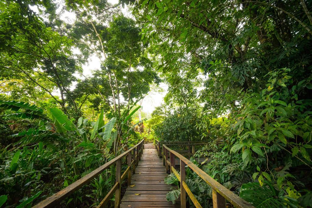 Blue River Resort & Hot Springs Liberia Bagian luar foto