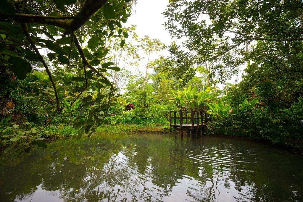 Blue River Resort & Hot Springs Liberia Bagian luar foto
