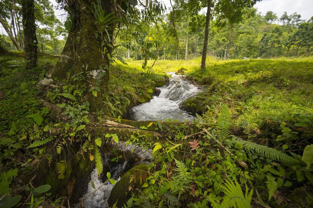 Blue River Resort & Hot Springs Liberia Bagian luar foto