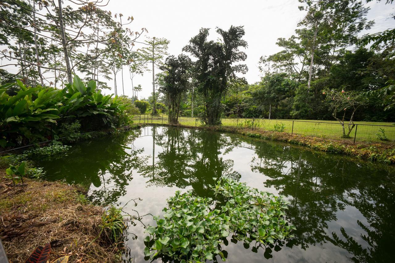 Blue River Resort & Hot Springs Liberia Bagian luar foto